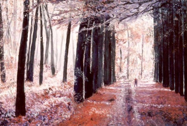 FOREST ENCHANTMENT