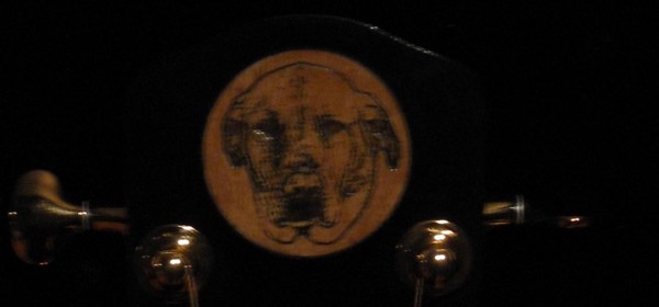 Dog ghost in the guitar
