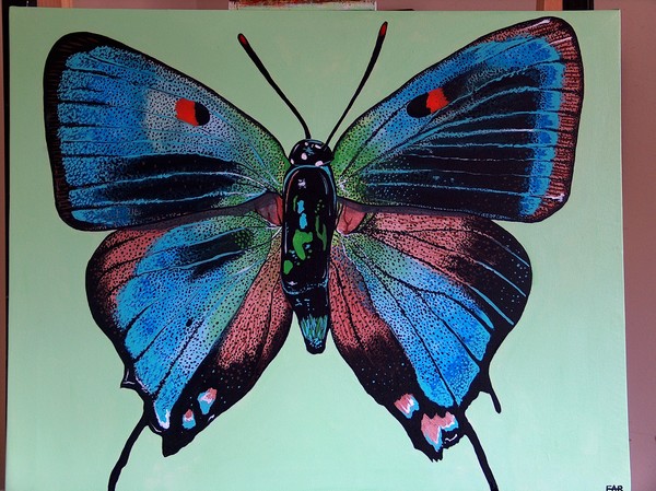 great purple hairstreak
