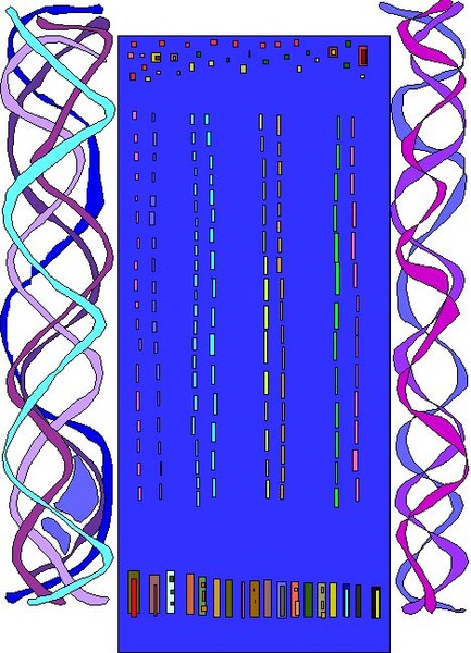 DNA