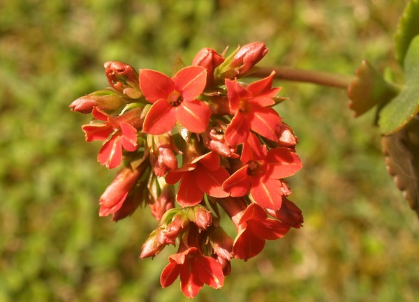 P4151154