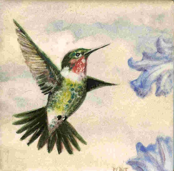 Male Ruby-Throated Hummingbird