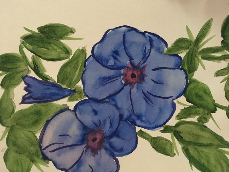 violets