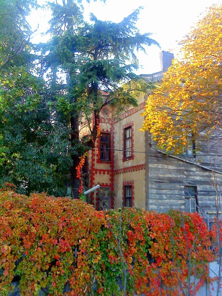 the old house and fall..