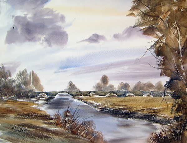 River Cole, Coleshill