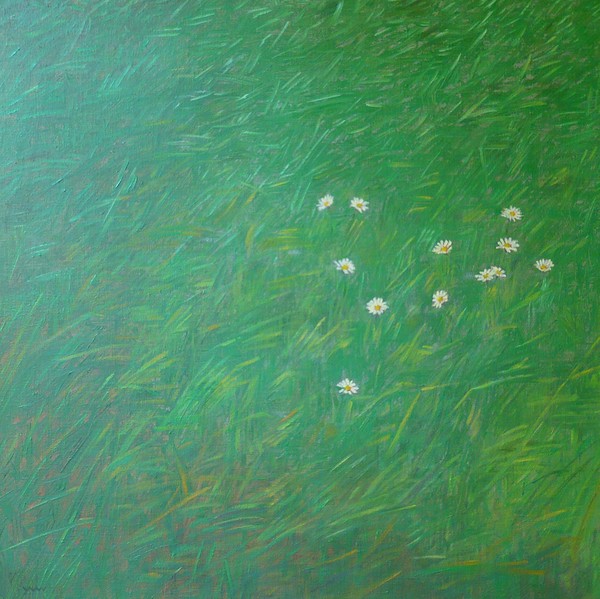daisies II
