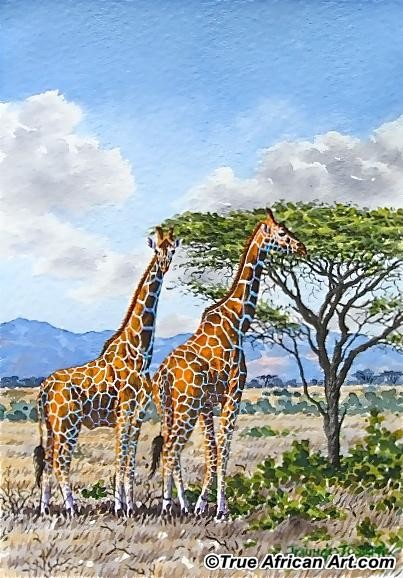 Giraffes