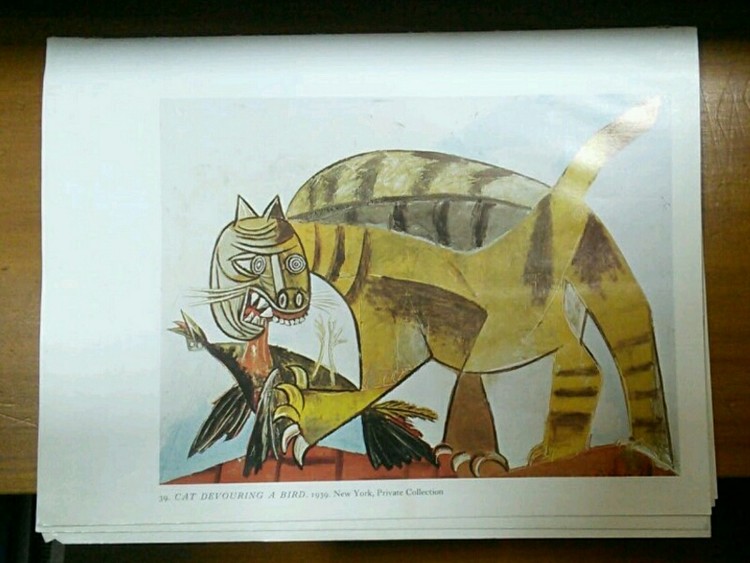 Picasso