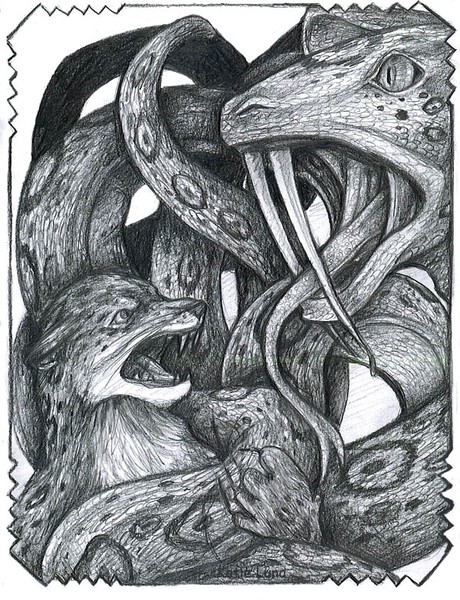Borneo Escape - Illustration