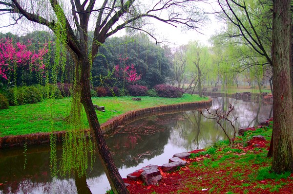 Spring Creek