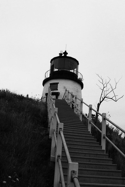 Lonely Lights
