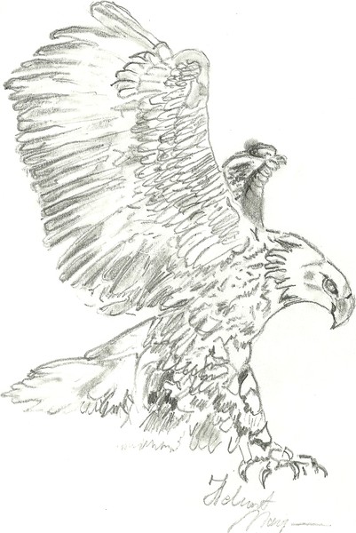 Free Spirit