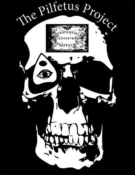 Wigi Skull (the PFP)