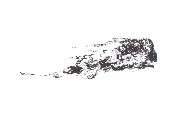 ink drawing 17