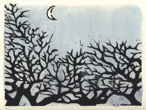 Night Trees