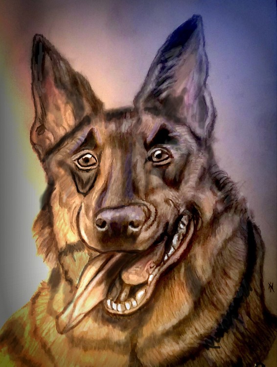Fido