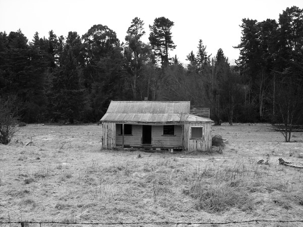 The Old Homestead