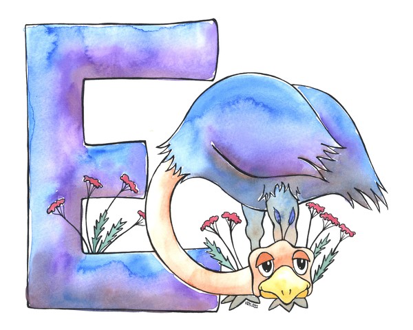 E is for Emu