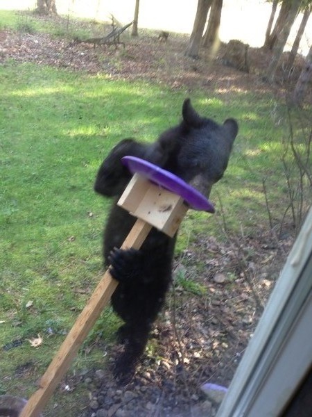 Caught in the act!