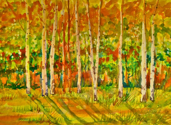 IN THE WOODS