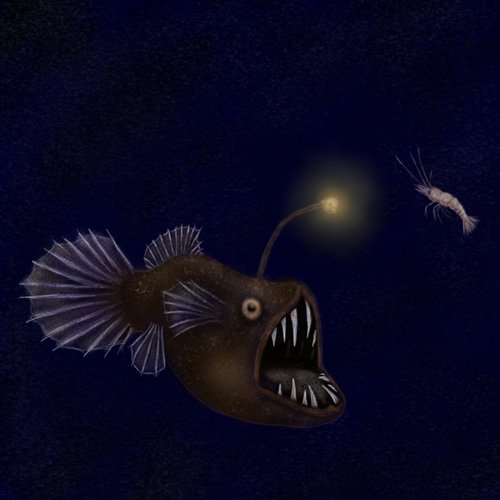 Angler Fish and Prawn