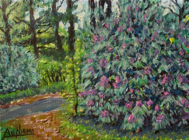 Rhododendron Walk