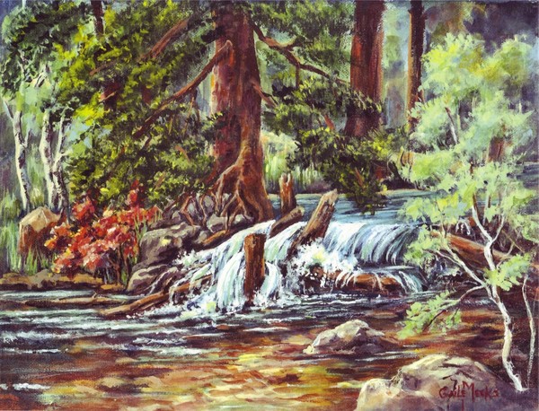 Upper Deer Creek Colorado