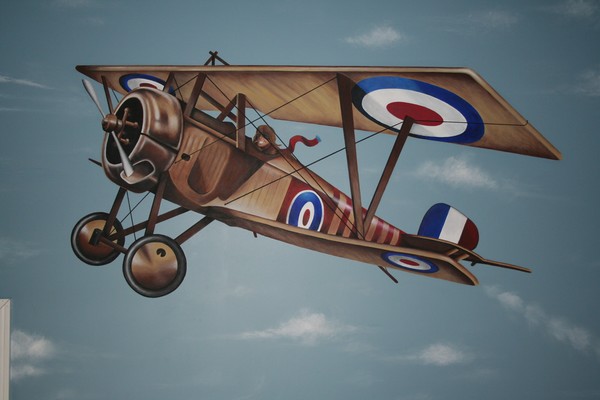 Bi-plane
