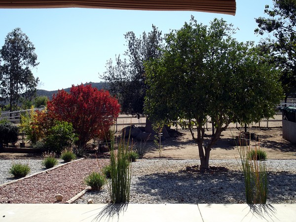 Mi Patio
