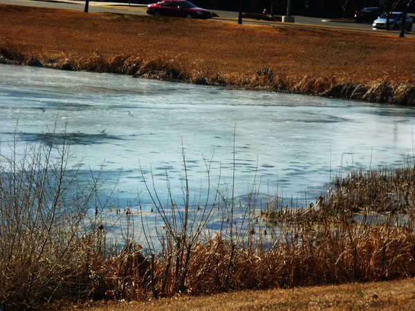 frozen lake