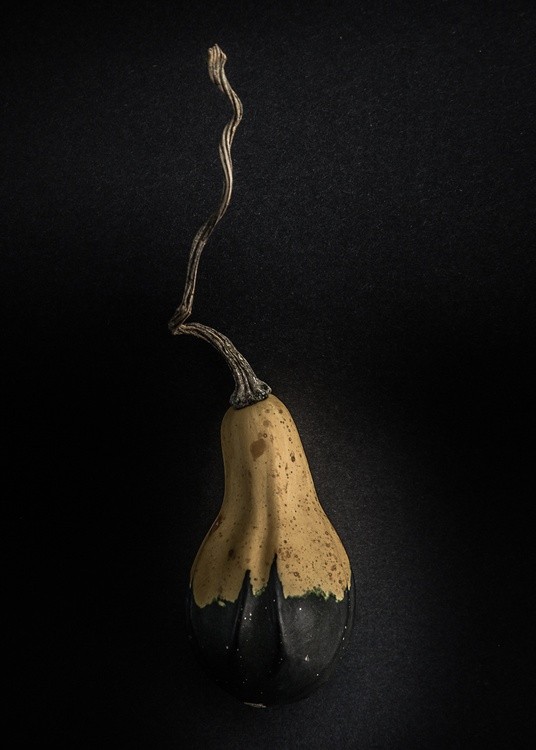 Gourds No 16 Color Version