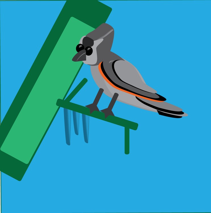 tufted-titmouse