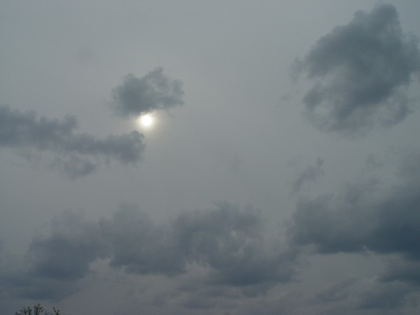 In the misty moonlight...