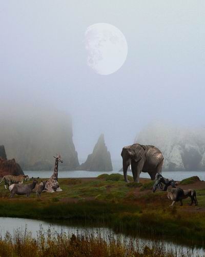 The Menagerie