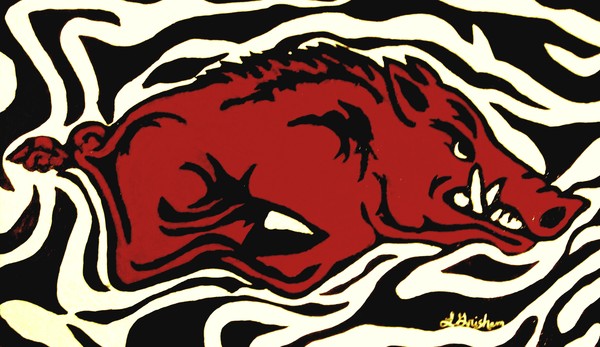 Razorback on Zebra