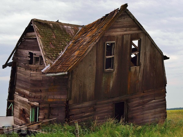 HOME NEEDS TLC