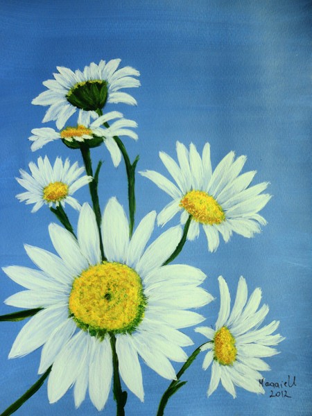 Daisy Dilight