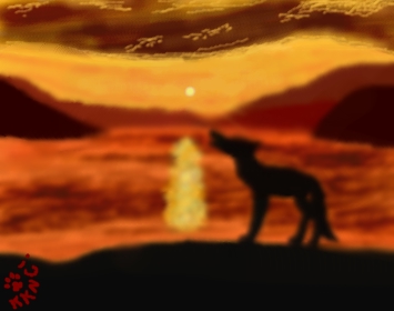 Sunset Silhouette