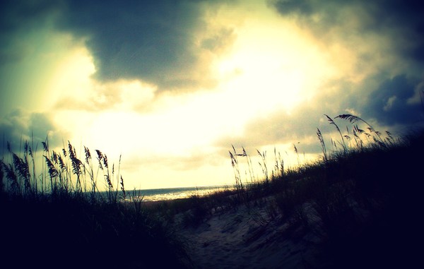 Walk to the Beach