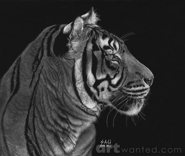 Siberian Tiger