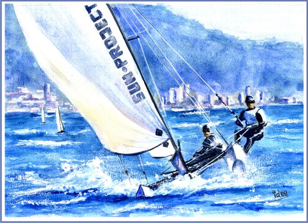 Catamaran regate