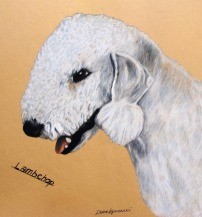 Lambchop