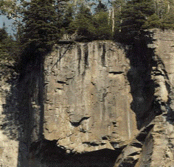 happy face of nature