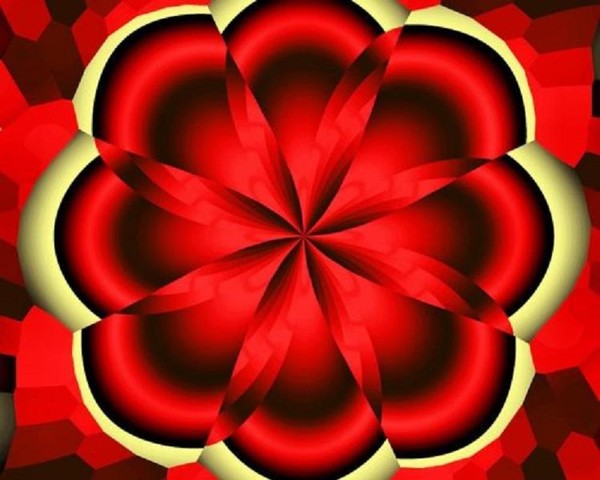 Flower___
