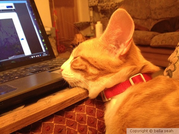 bored with this,,,, 