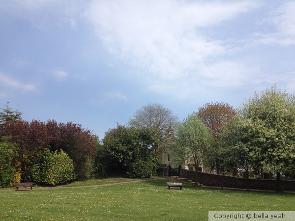 spring comes to the village green