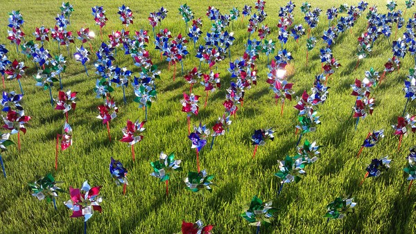 Pinwheel Field 1