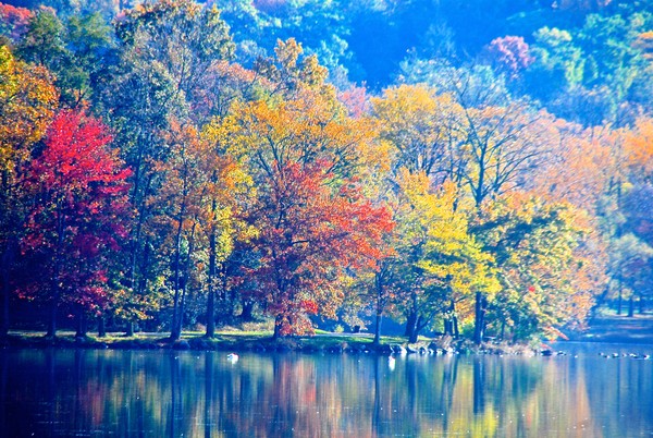 Rockland Lake