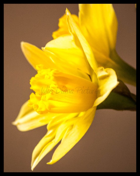 Hope