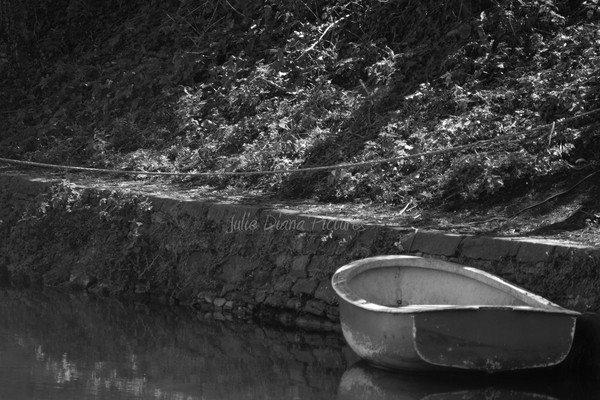 Tranquil Waters